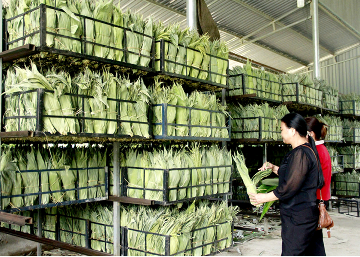 Từ phụ phẩm thành "vàng xanh": Mặt hàng của VN được thế giới săn lùng, tăng giá hơn 10 lần khi xuất ngoại- Ảnh 3.