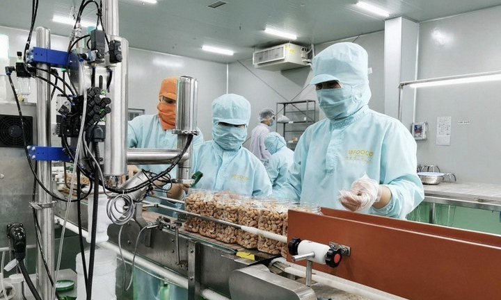Thủ tướng yêu cầu doanh nghiệp Nhà nước báo cáo kết quả hoạt động 3 quý đầu năm- Ảnh 1.