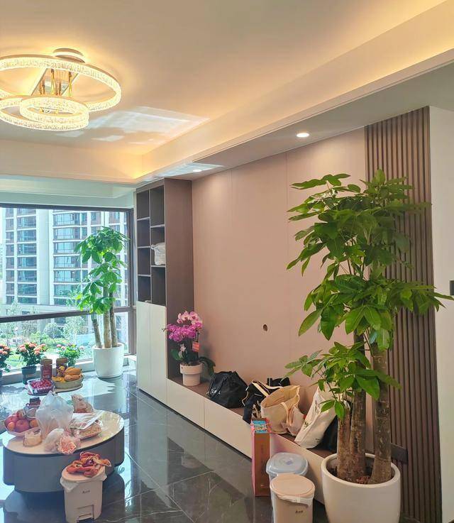 “Trong nhà có một cây, cả nhà ấm no": 5 loại cây nội thất đẹp, dễ sống, tăng sinh khí cho tổ ấm- Ảnh 1. “Trong nhà có một cây, cả nhà ấm no": 5 loại cây nội thất đẹp, dễ sống, tăng sinh khí cho tổ ấm- Ảnh 1.