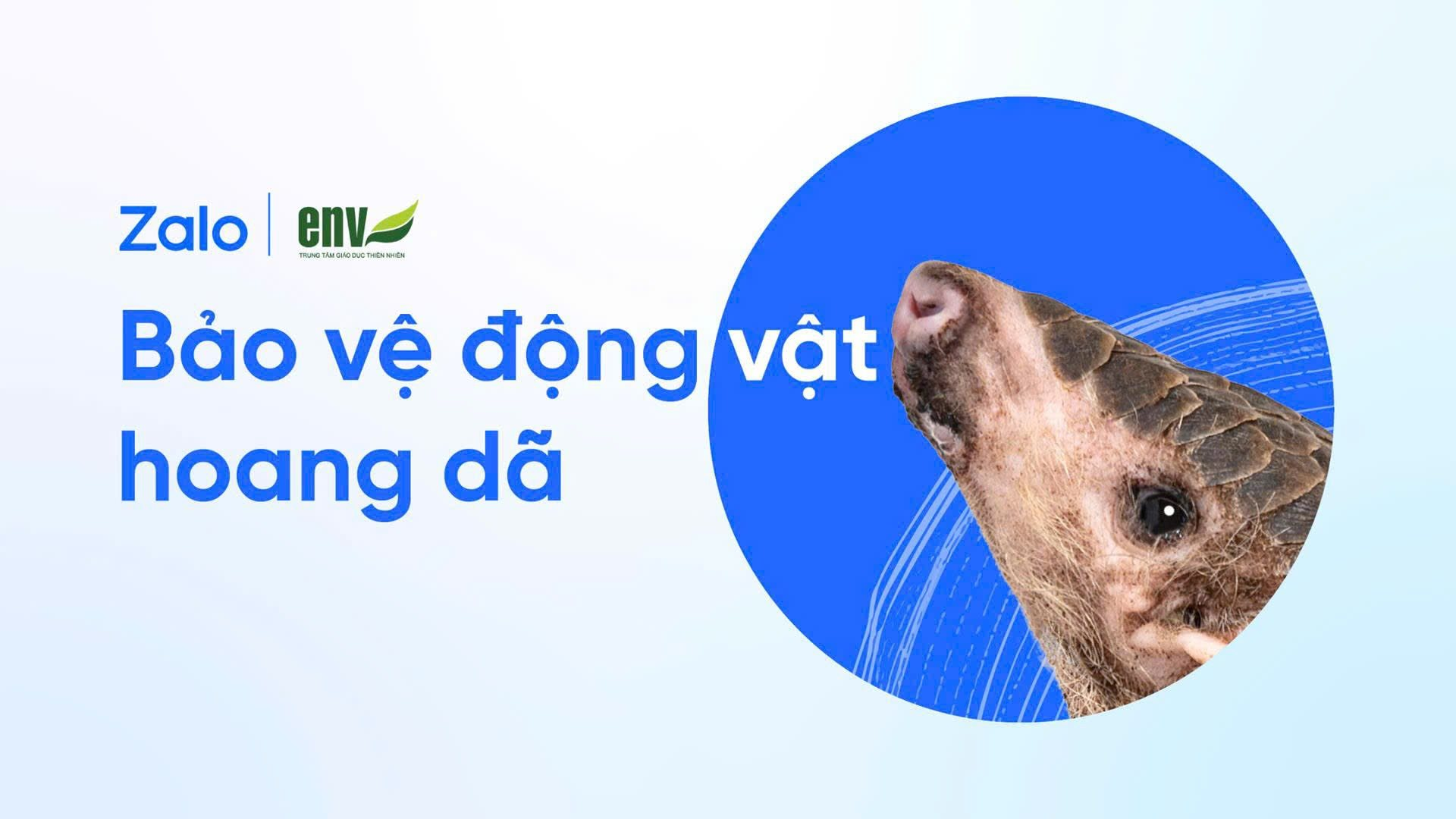 Zalo vừa có thay đổi mới, người dùng cập nhật ngay kẻo mất quyền lợi- Ảnh 3.