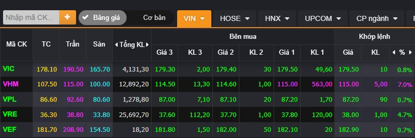 Cổ phiếu nhóm Vingroup đồng thuận bứt phá trong ngày Index vượt đỉnh lịch sử- Ảnh 1.