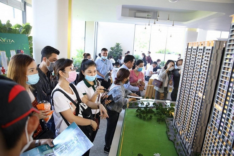 Nên đánh thuế để giảm đầu cơ thay vì bắt buộc giao dịch qua sàn bất động sản Nhà nước- Ảnh 1.
