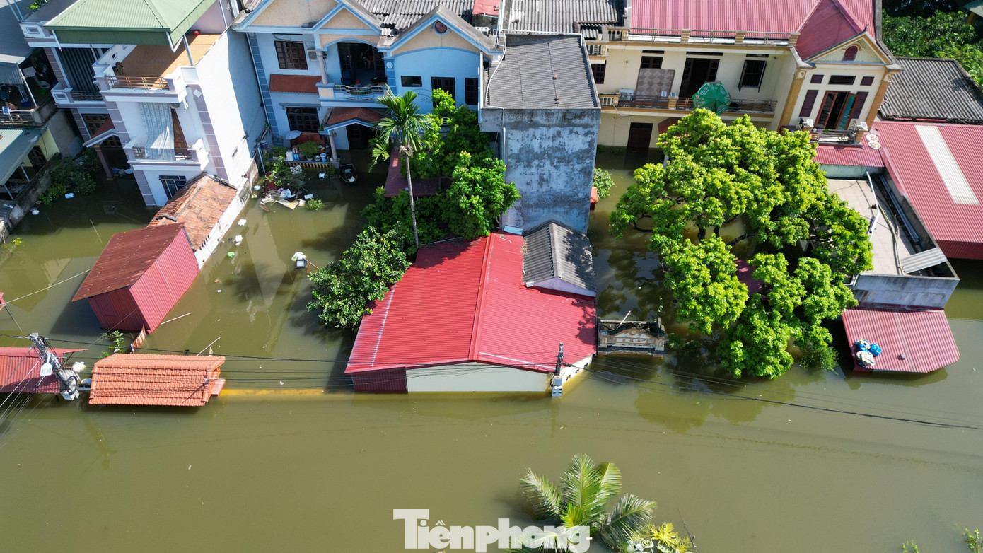 Biệt thự chìm trong biển nước, làng Quả Cảm thành ‘ốc đảo’ giữa Bắc Ninh- Ảnh 2. Biệt thự chìm trong biển nước, làng Quả Cảm thành ‘ốc đảo’ giữa Bắc Ninh- Ảnh 2.