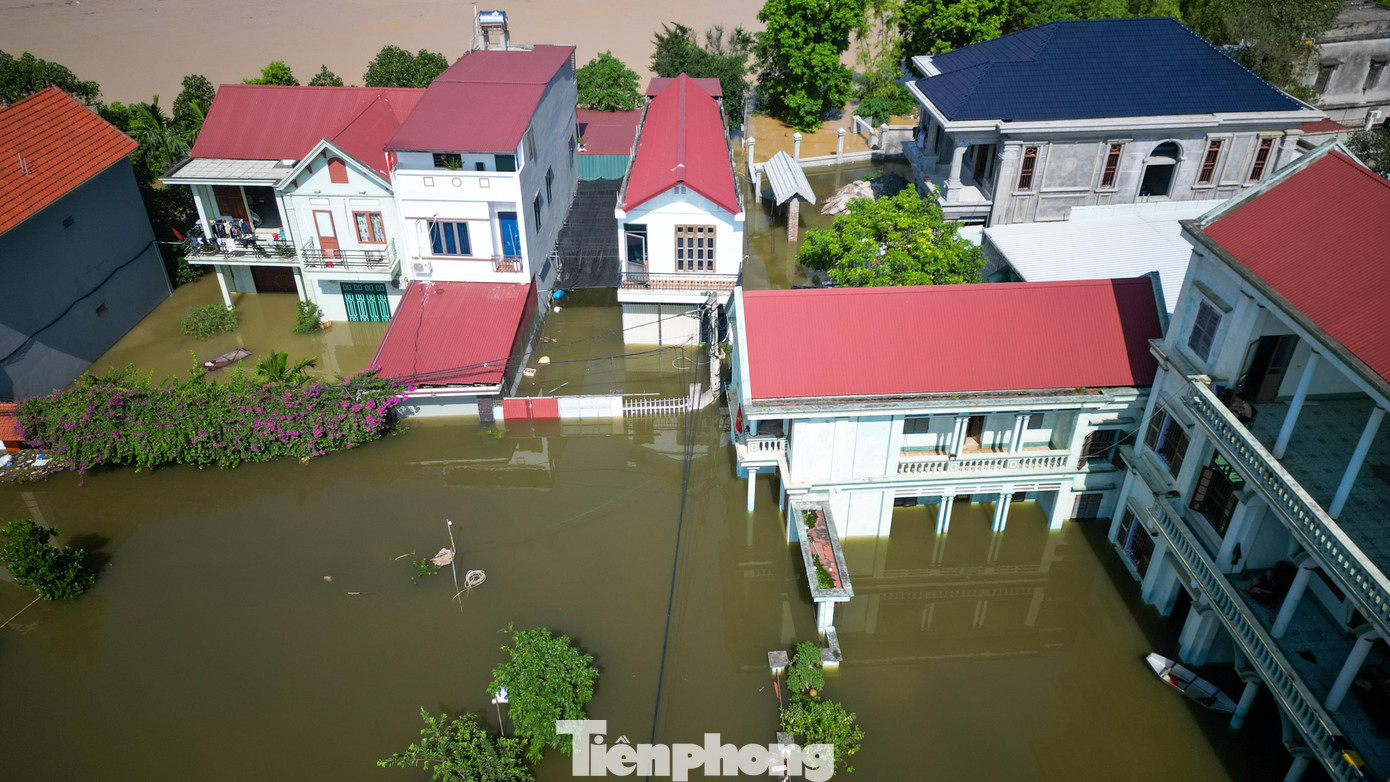 Biệt thự chìm trong biển nước, làng Quả Cảm thành ‘ốc đảo’ giữa Bắc Ninh- Ảnh 3. Biệt thự chìm trong biển nước, làng Quả Cảm thành ‘ốc đảo’ giữa Bắc Ninh- Ảnh 3.
