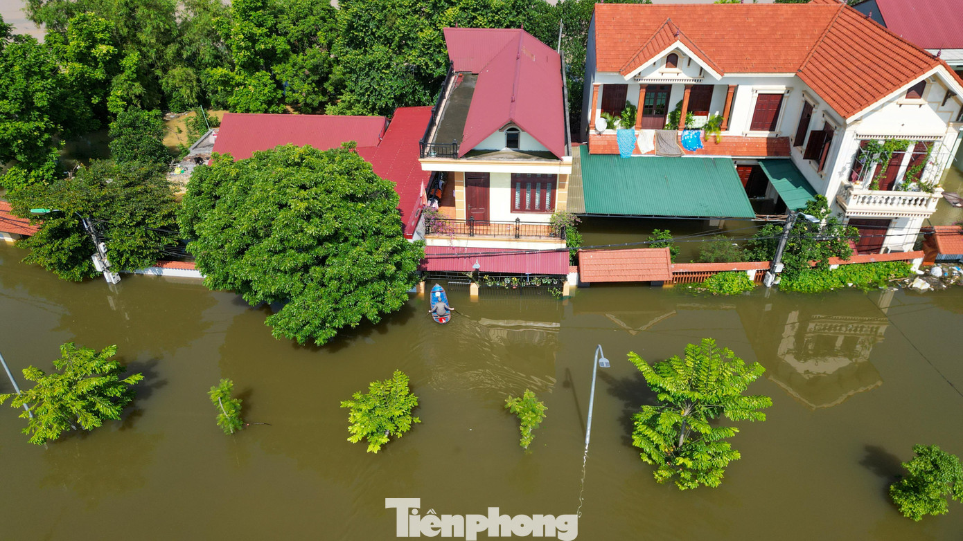 Biệt thự chìm trong biển nước, làng Quả Cảm thành ‘ốc đảo’ giữa Bắc Ninh- Ảnh 7. Biệt thự chìm trong biển nước, làng Quả Cảm thành ‘ốc đảo’ giữa Bắc Ninh- Ảnh 7.