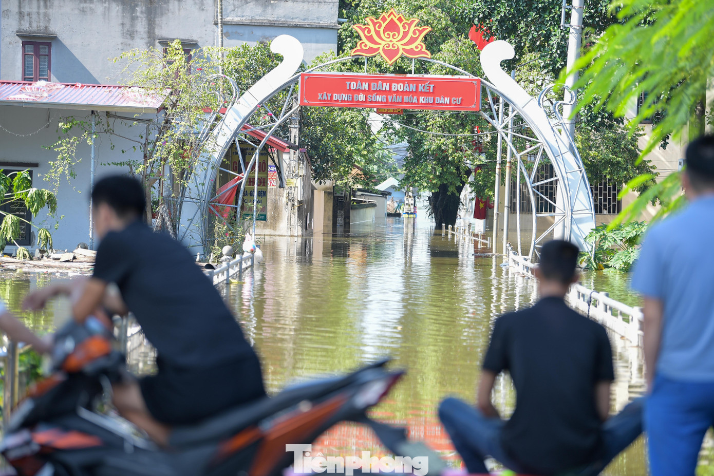 Biệt thự chìm trong biển nước, làng Quả Cảm thành ‘ốc đảo’ giữa Bắc Ninh- Ảnh 11. Biệt thự chìm trong biển nước, làng Quả Cảm thành ‘ốc đảo’ giữa Bắc Ninh- Ảnh 11.
