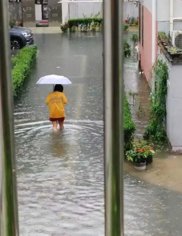 Tôi mất gần 40 triệu chỉ sau một trận mưa: Bài học đắt giá khi mua căn hộ tầng một vì tưởng Tôi mất gần 40 triệu chỉ sau một trận mưa: Bài học đắt giá khi mua căn hộ tầng một vì tưởng