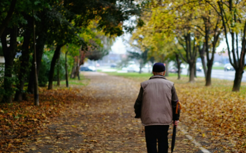 Cụ ông bán nhà 2 tỷ ở thành phố, về quê dưỡng già cùng em trai: 2 năm sau, tiền hết tình cũng chẳng còn- Ảnh 1. Cụ ông bán nhà 2 tỷ ở thành phố, về quê dưỡng già cùng em trai: 2 năm sau, tiền hết tình cũng chẳng còn- Ảnh 1.