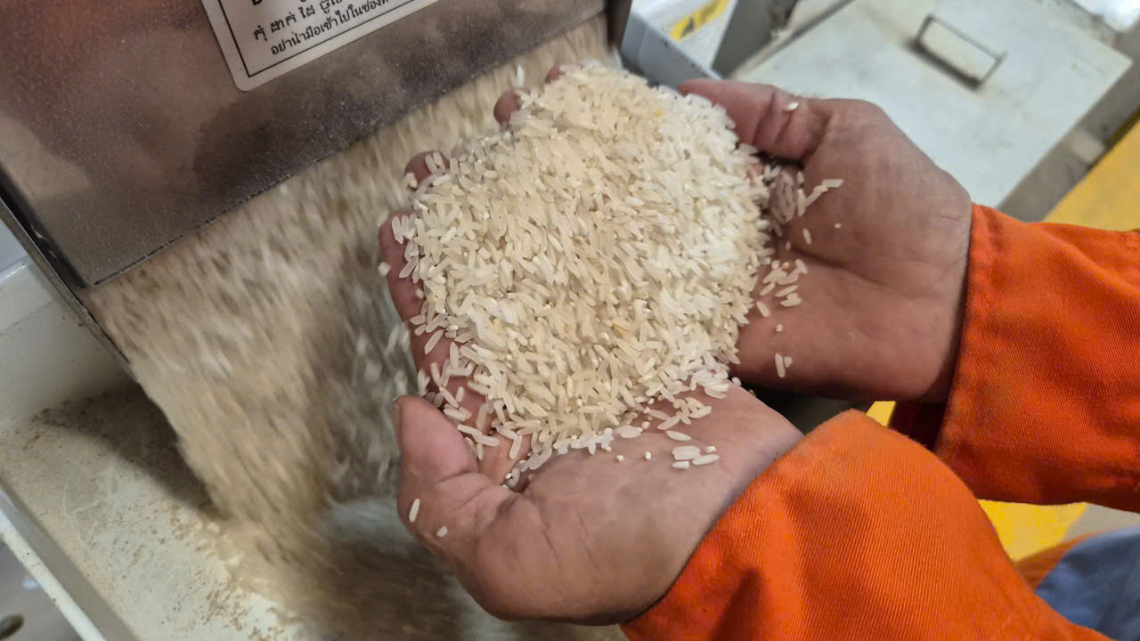 Những loại gạo nào có cơ hội ở thị trường nhập khẩu gạo tới 90%?- Ảnh 1. Những loại gạo nào có cơ hội ở thị trường nhập khẩu gạo tới 90%?- Ảnh 1.