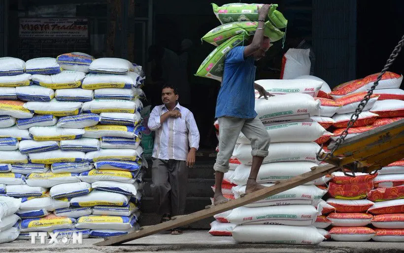 Công nhân vận chuyển gạo tại nhà kho ở Bangalore, Ấn Độ. (Ảnh: AFP/TTXVN) Công nhân vận chuyển gạo tại nhà kho ở Bangalore, Ấn Độ. (Ảnh: AFP/TTXVN)