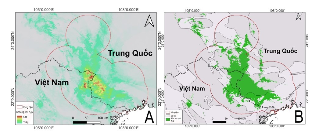 “Báu vật” quý hiếm tại Việt Nam: Thế giới chỉ 2 nước có, đứng trước bờ vực tuyệt chủng- Ảnh 1. “Báu vật” quý hiếm tại Việt Nam: Thế giới chỉ 2 nước có, đứng trước bờ vực tuyệt chủng- Ảnh 1.