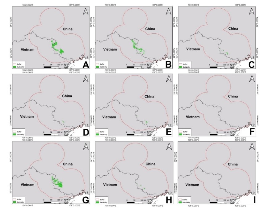 “Báu vật” quý hiếm tại Việt Nam: Thế giới chỉ 2 nước có, đứng trước bờ vực tuyệt chủng- Ảnh 2. “Báu vật” quý hiếm tại Việt Nam: Thế giới chỉ 2 nước có, đứng trước bờ vực tuyệt chủng- Ảnh 2.