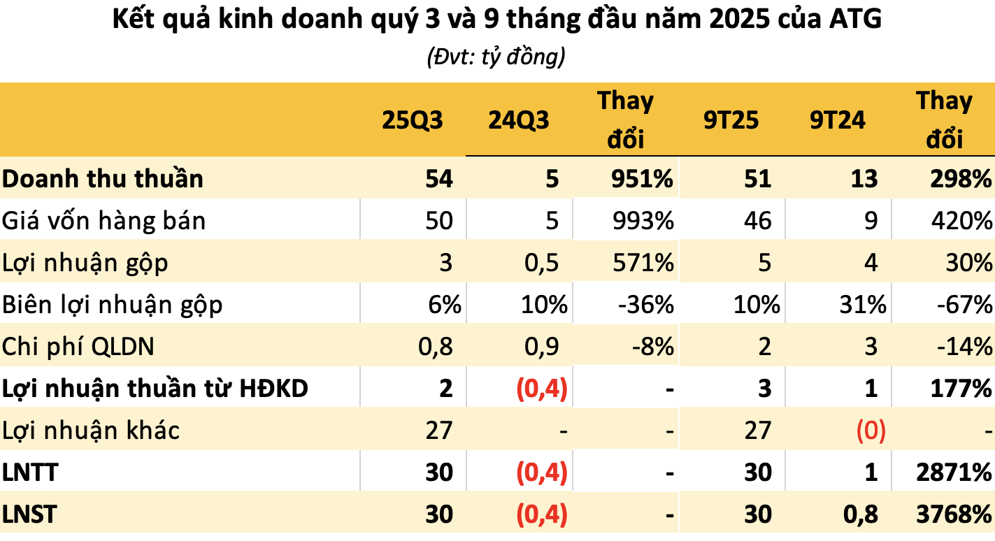 Chuyện gì đây: Công ty chỉ 2 nhân viên báo lãi 9 tháng tăng đột biến 3.700% so với cùng kỳ- Ảnh 2.