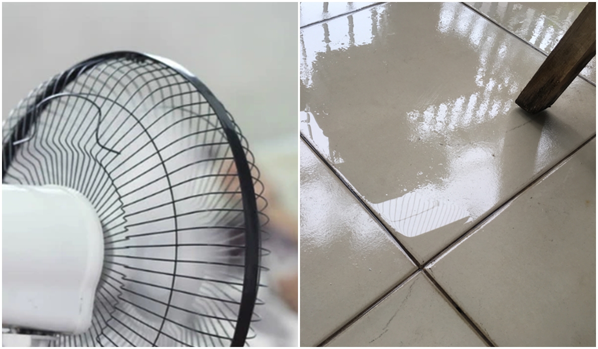 Trời nồm có nên bật quạt số to liên tục để làm khô nhà? Giải thích của chuyên gia gây bất ngờ- Ảnh 2. Trời nồm có nên bật quạt số to liên tục để làm khô nhà? Giải thích của chuyên gia gây bất ngờ- Ảnh 2.