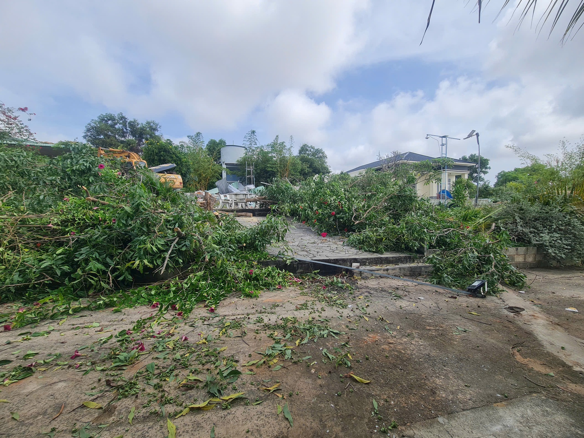 Đang cưỡng chế thu hồi hơn 66.000 m² đất lấn chiếm tại Đồi Cát Bay Mũi Né- Ảnh 1. Đang cưỡng chế thu hồi hơn 66.000 m² đất lấn chiếm tại Đồi Cát Bay Mũi Né- Ảnh 1.