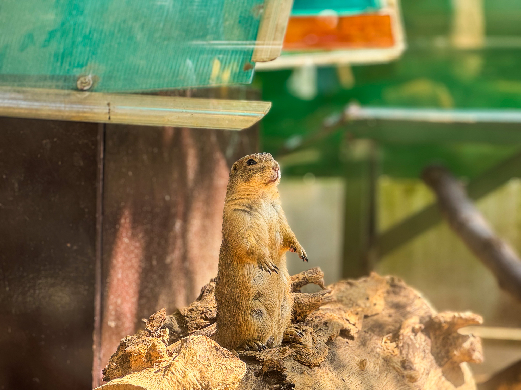 Hành trình từ nợ thuế hơn 800 tỷ đến có lãi của doanh nghiệp sở hữu 17 ha đất vàng giữa phường Sài Gòn- Ảnh 13. Hành trình từ nợ thuế hơn 800 tỷ đến có lãi của doanh nghiệp sở hữu 17 ha đất vàng giữa phường Sài Gòn- Ảnh 13.