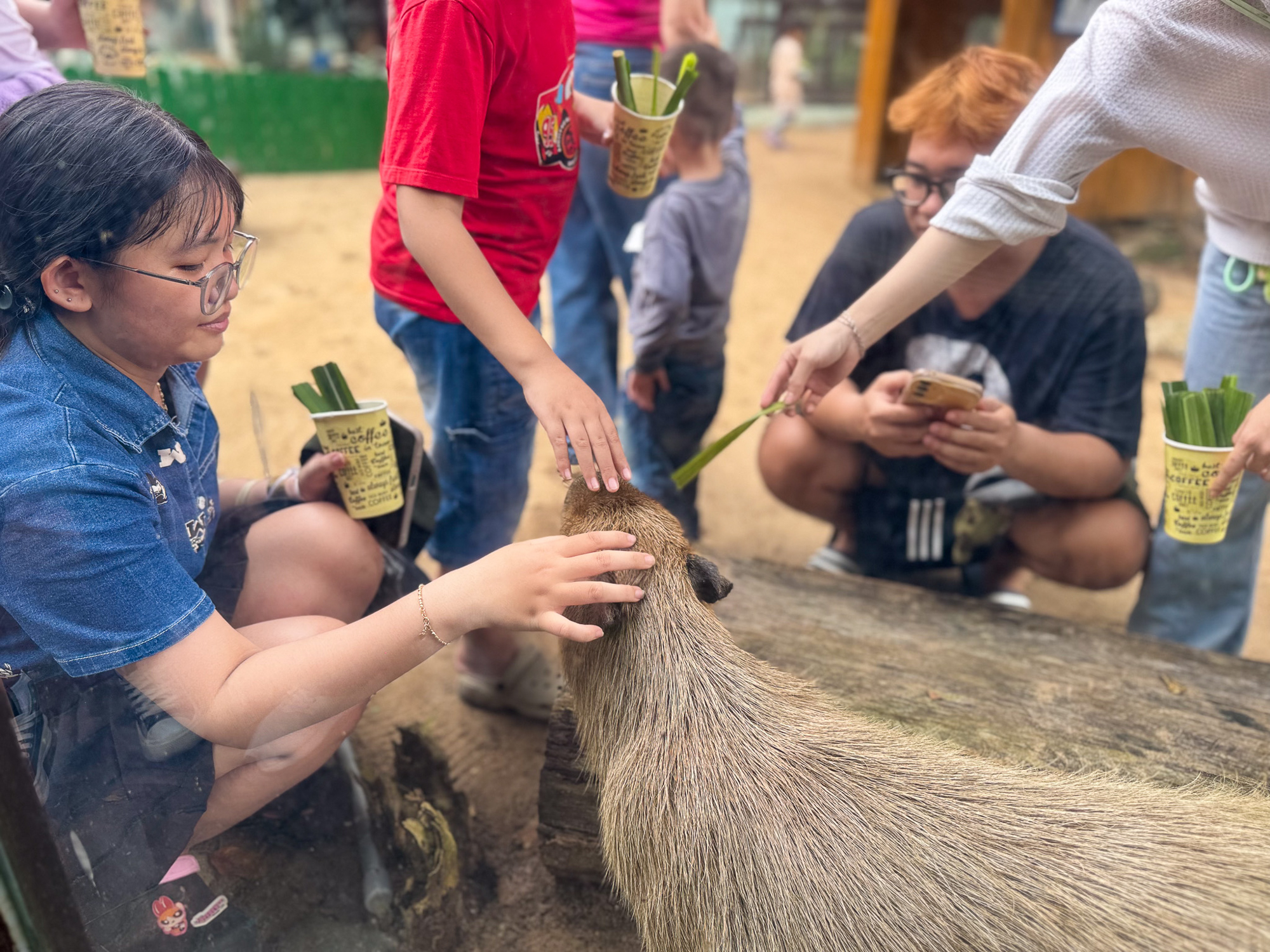 Hành trình từ nợ thuế hơn 800 tỷ đến có lãi của doanh nghiệp sở hữu 17 ha đất vàng giữa phường Sài Gòn- Ảnh 14. Hành trình từ nợ thuế hơn 800 tỷ đến có lãi của doanh nghiệp sở hữu 17 ha đất vàng giữa phường Sài Gòn- Ảnh 14.