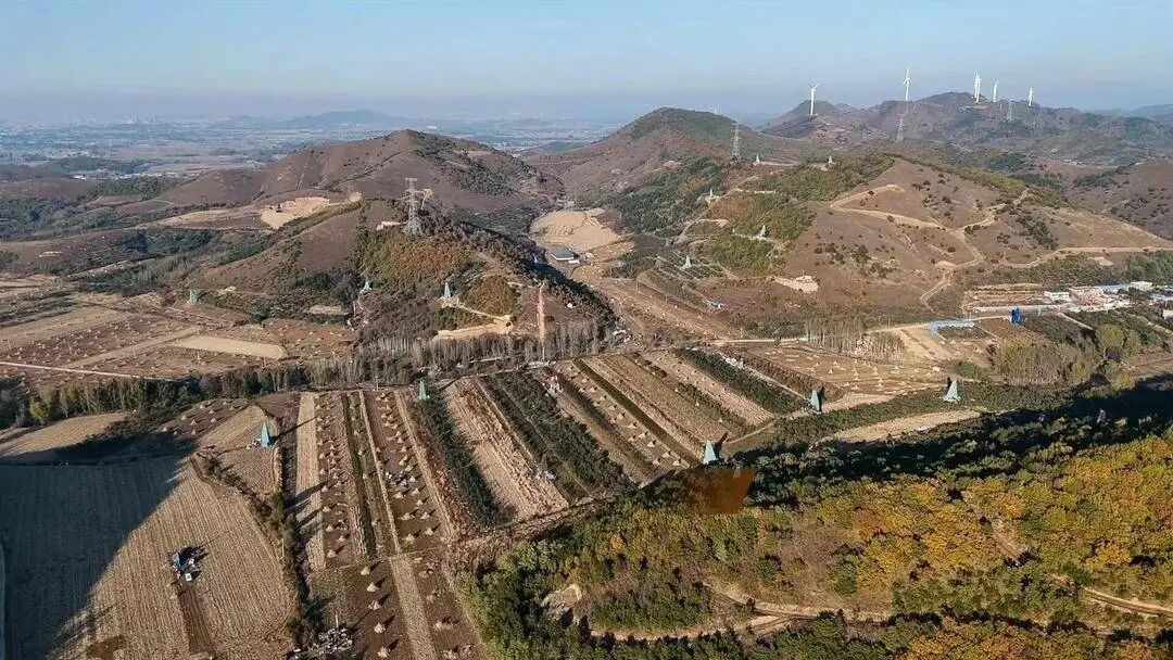 Khoan sâu 219 mũi, phát hiện mỏ vàng lớn trữ lượng gần 1.500 tấn sau hơn 40 năm khảo sát- Ảnh 2. Khoan sâu 219 mũi, phát hiện mỏ vàng lớn trữ lượng gần 1.500 tấn sau hơn 40 năm khảo sát- Ảnh 2.