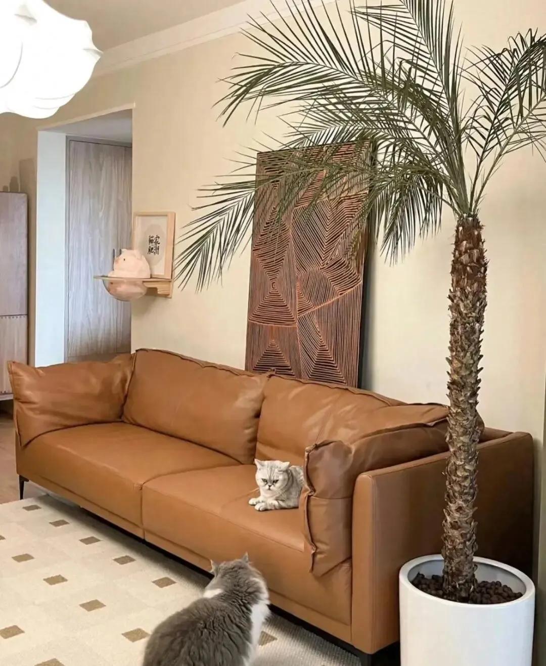 Đẹp trên mạng nhưng thảm họa ngoài đời: 6 thiết kế khiến cả nhà tôi hối hận sau vài tháng ở- Ảnh 6.