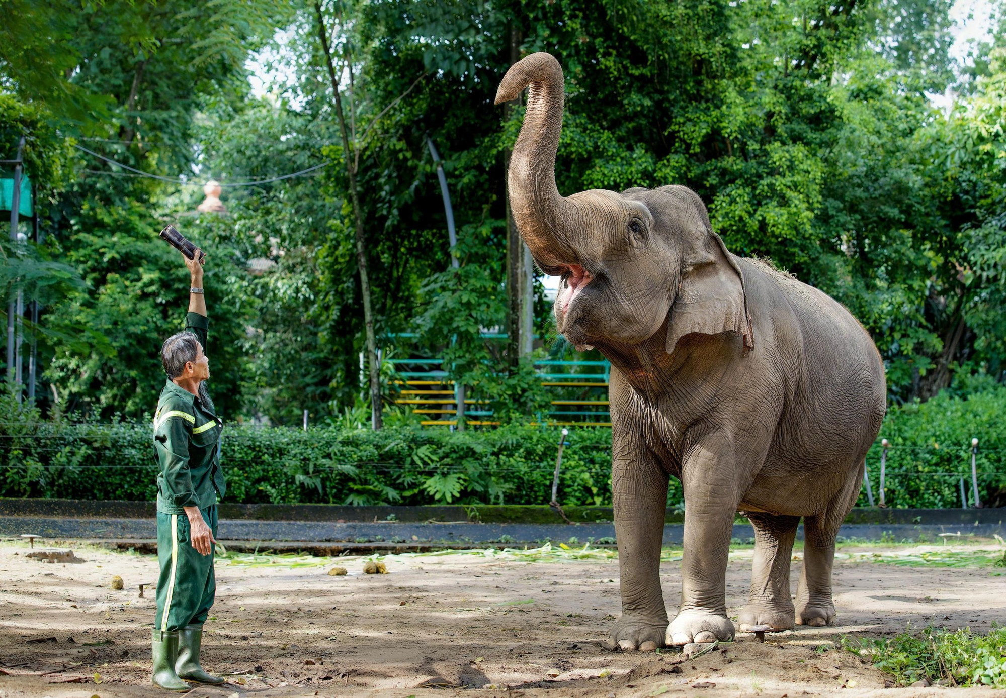 Hành trình từ nợ thuế hơn 800 tỷ đến có lãi của doanh nghiệp sở hữu 17 ha đất vàng giữa phường Sài Gòn- Ảnh 5. Hành trình từ nợ thuế hơn 800 tỷ đến có lãi của doanh nghiệp sở hữu 17 ha đất vàng giữa phường Sài Gòn- Ảnh 5.
