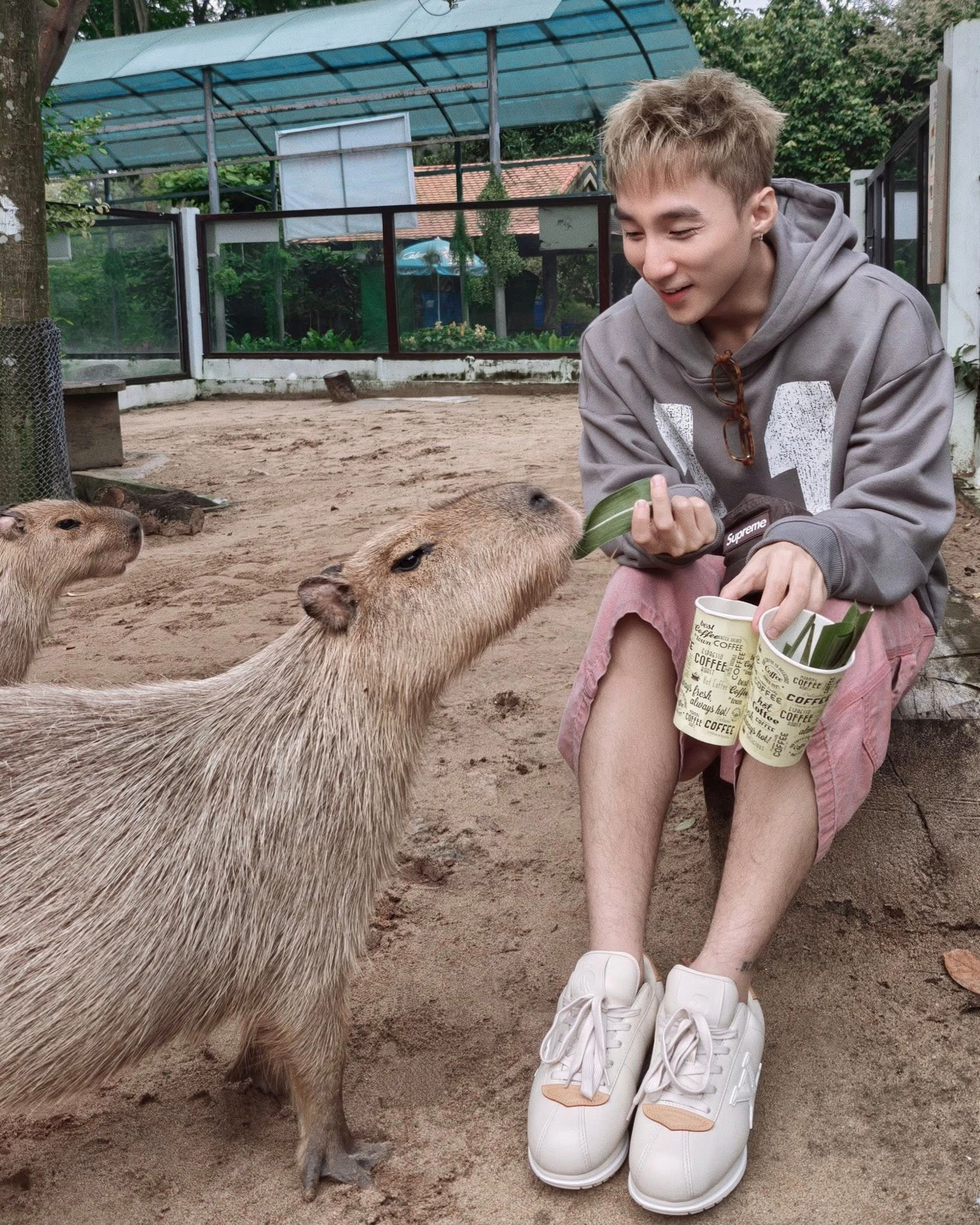 Hành trình từ nợ thuế hơn 800 tỷ đến có lãi của doanh nghiệp sở hữu 17 ha đất vàng giữa phường Sài Gòn- Ảnh 7. Hành trình từ nợ thuế hơn 800 tỷ đến có lãi của doanh nghiệp sở hữu 17 ha đất vàng giữa phường Sài Gòn- Ảnh 7.