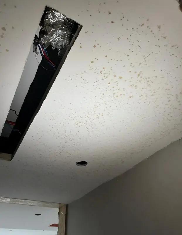 Đẹp trên mạng nhưng thảm họa ngoài đời: 6 thiết kế khiến cả nhà tôi hối hận sau vài tháng ở- Ảnh 5.