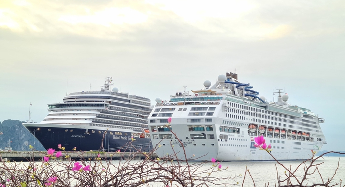 Hai siêu du thuyền hạng sang đưa 3.100 khách du lịch quốc tế đến Quảng Ninh- Ảnh 1.