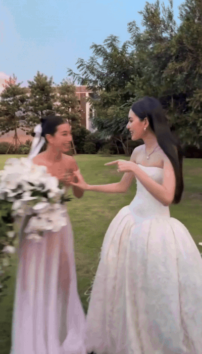 Ngắm đám cưới của Ngắm đám cưới của