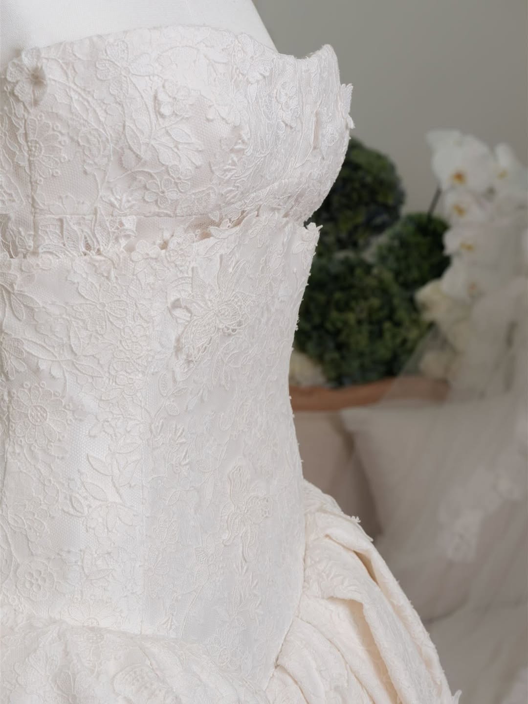 Ngắm đám cưới của Ngắm đám cưới của