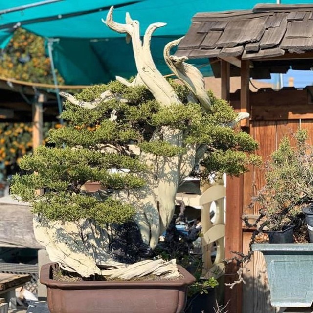 Soi bất động sản của Bằng Kiều ở Mỹ và Việt Nam- Ảnh 5.