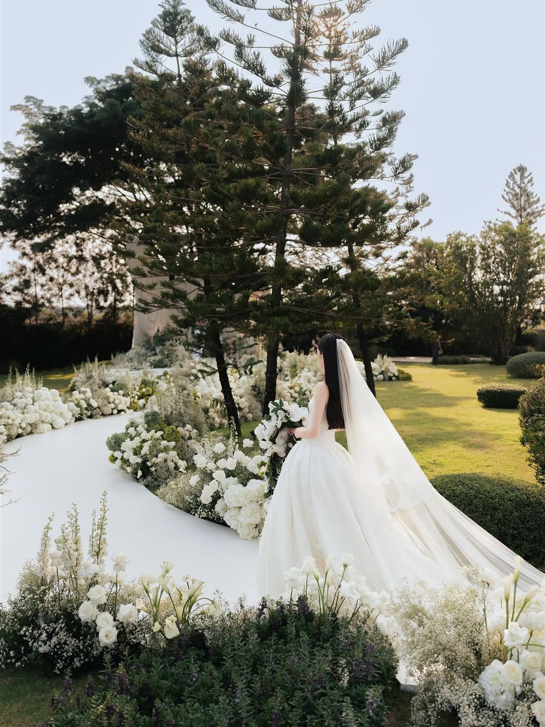 Ngắm đám cưới của Ngắm đám cưới của