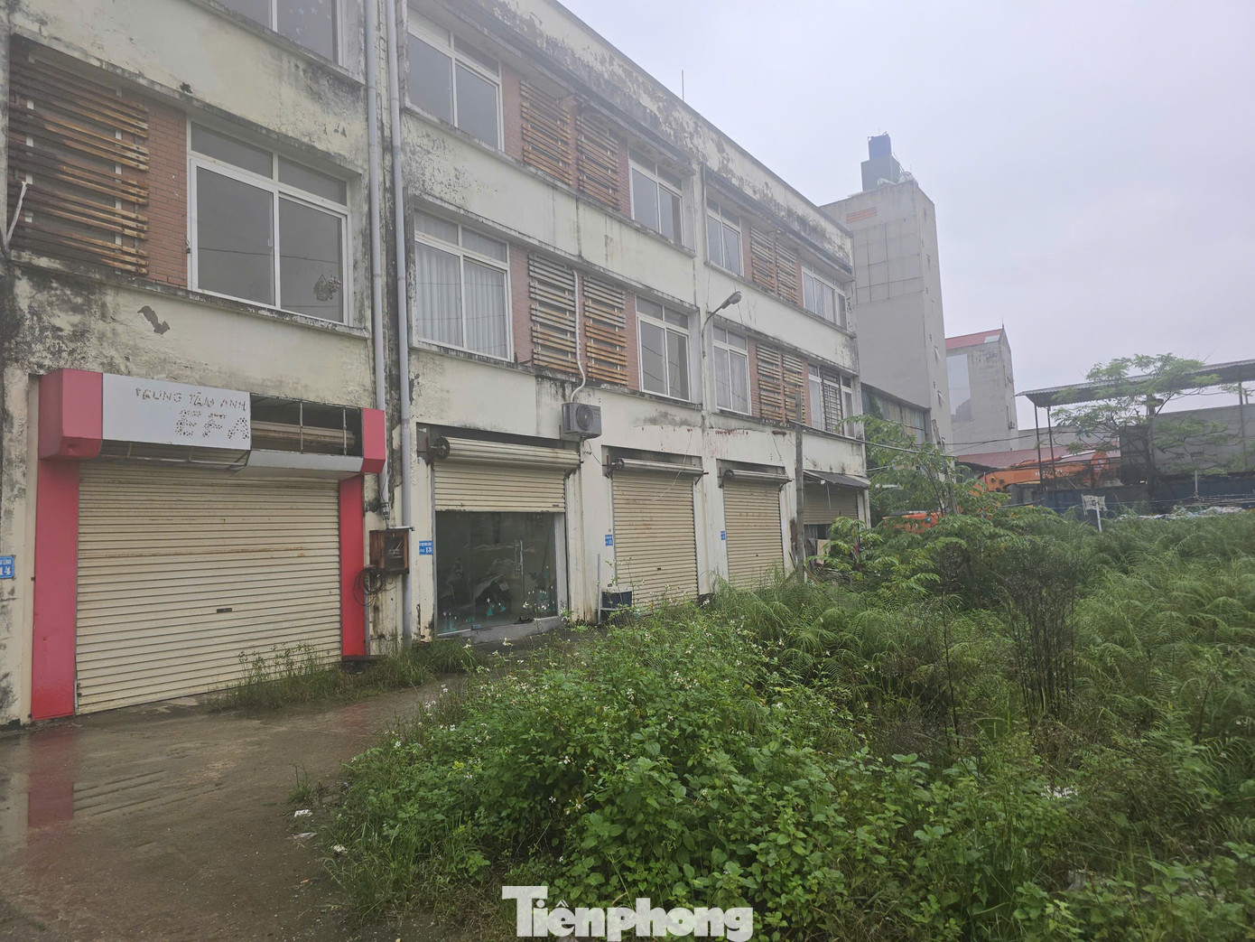 Hà Nội: Khu chợ 'đắp chiếu' 11 năm được đề xuất chuyển đổi thành nhà ở xã hội- Ảnh 1.