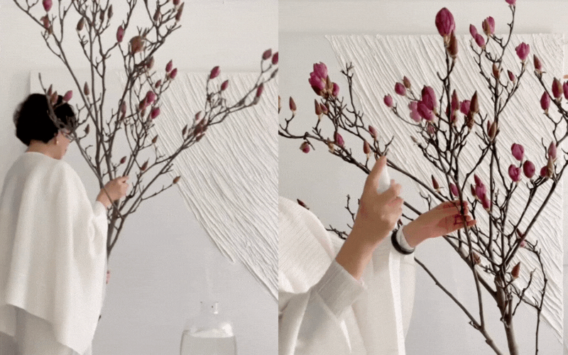 “Cành cây khô” giá bạc triệu khiến hội chị em phát sốt: Mộc lan chơi được cả tháng, nở rộ như tranh nếu biết chăm đúng cách- Ảnh 5. “Cành cây khô” giá bạc triệu khiến hội chị em phát sốt: Mộc lan chơi được cả tháng, nở rộ như tranh nếu biết chăm đúng cách- Ảnh 5.