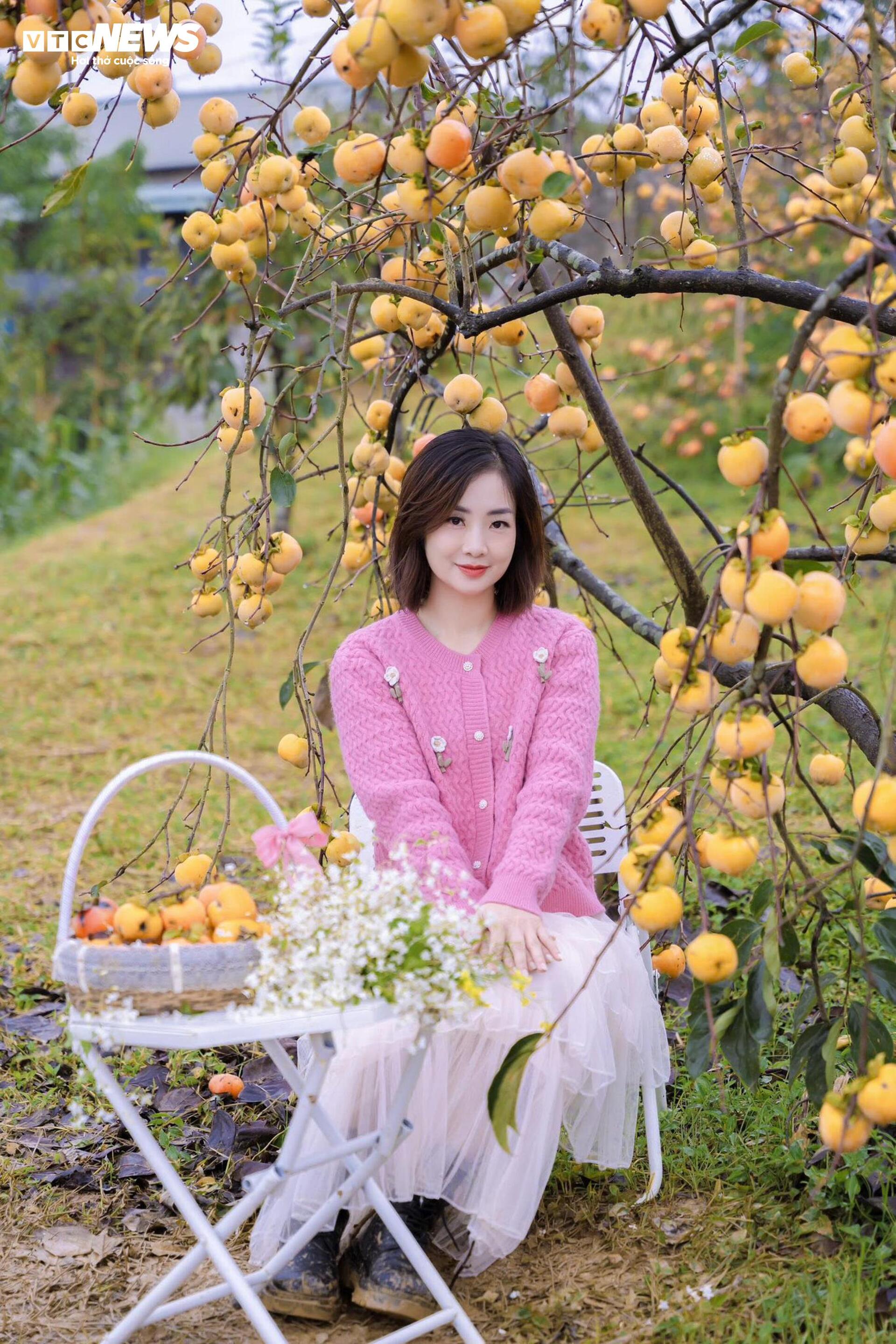 Cao nguyên Mộc Châu rực rỡ mùa hồng chín, níu chân du khách gần xa- Ảnh 5.