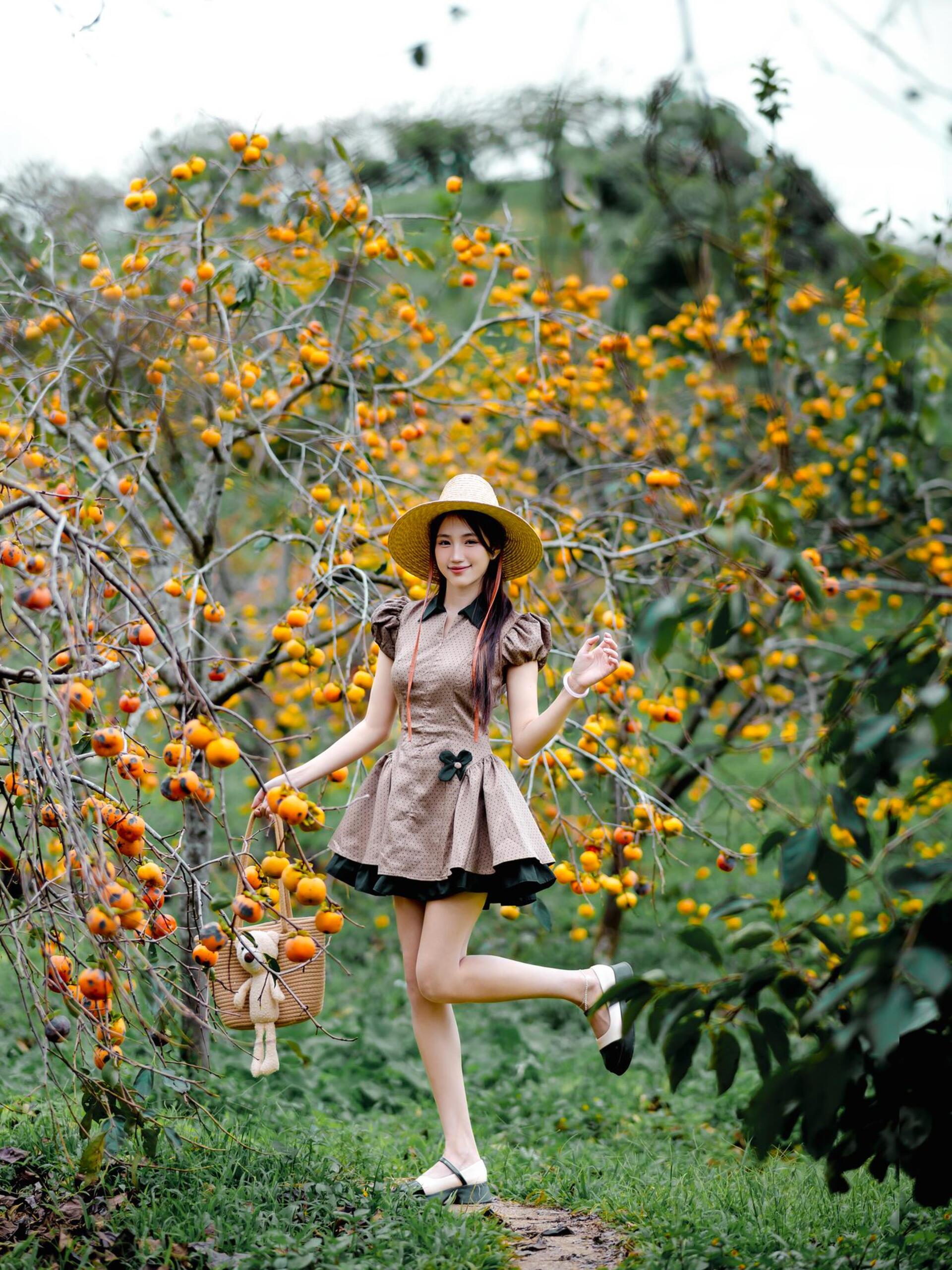 Cao nguyên Mộc Châu rực rỡ mùa hồng chín, níu chân du khách gần xa- Ảnh 9.