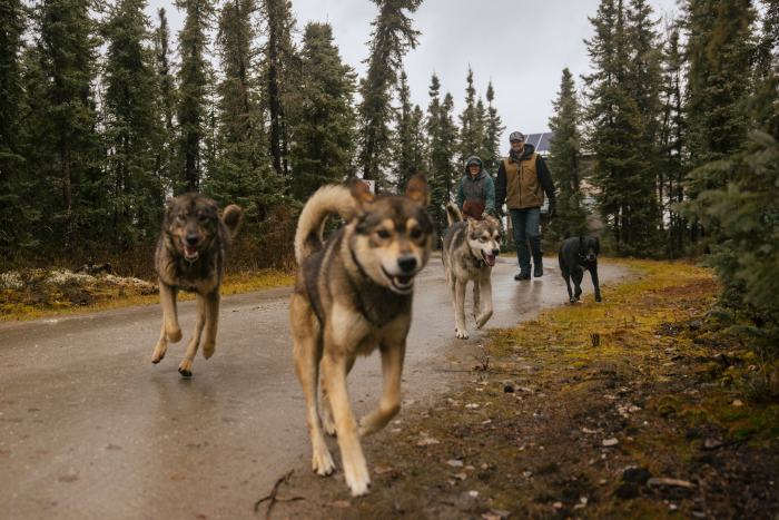 Hứng đòn đau vì Trung Quốc chặn mặt hàng Mỹ không thể sản xuất dù chỉ 1 gram, người dân bỏ qua cả vàng để săn lùng kho báu: Liệu có thoát phụ thuộc Bắc Kinh?- Ảnh 13.