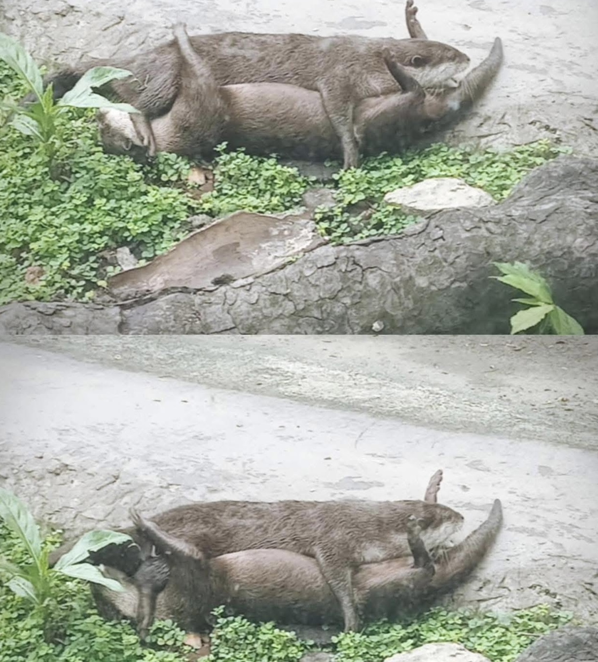 Không ngờ tới những 