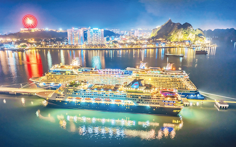 Lần đầu tiên Việt Nam ghi nhận một kỷ lục chưa từng có- Ảnh 2.