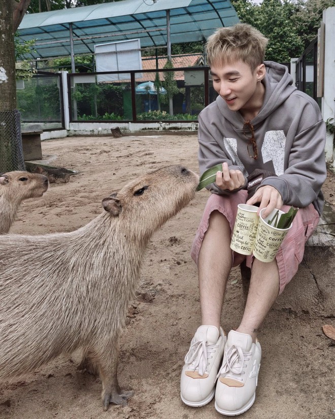 Không ngờ tới những 