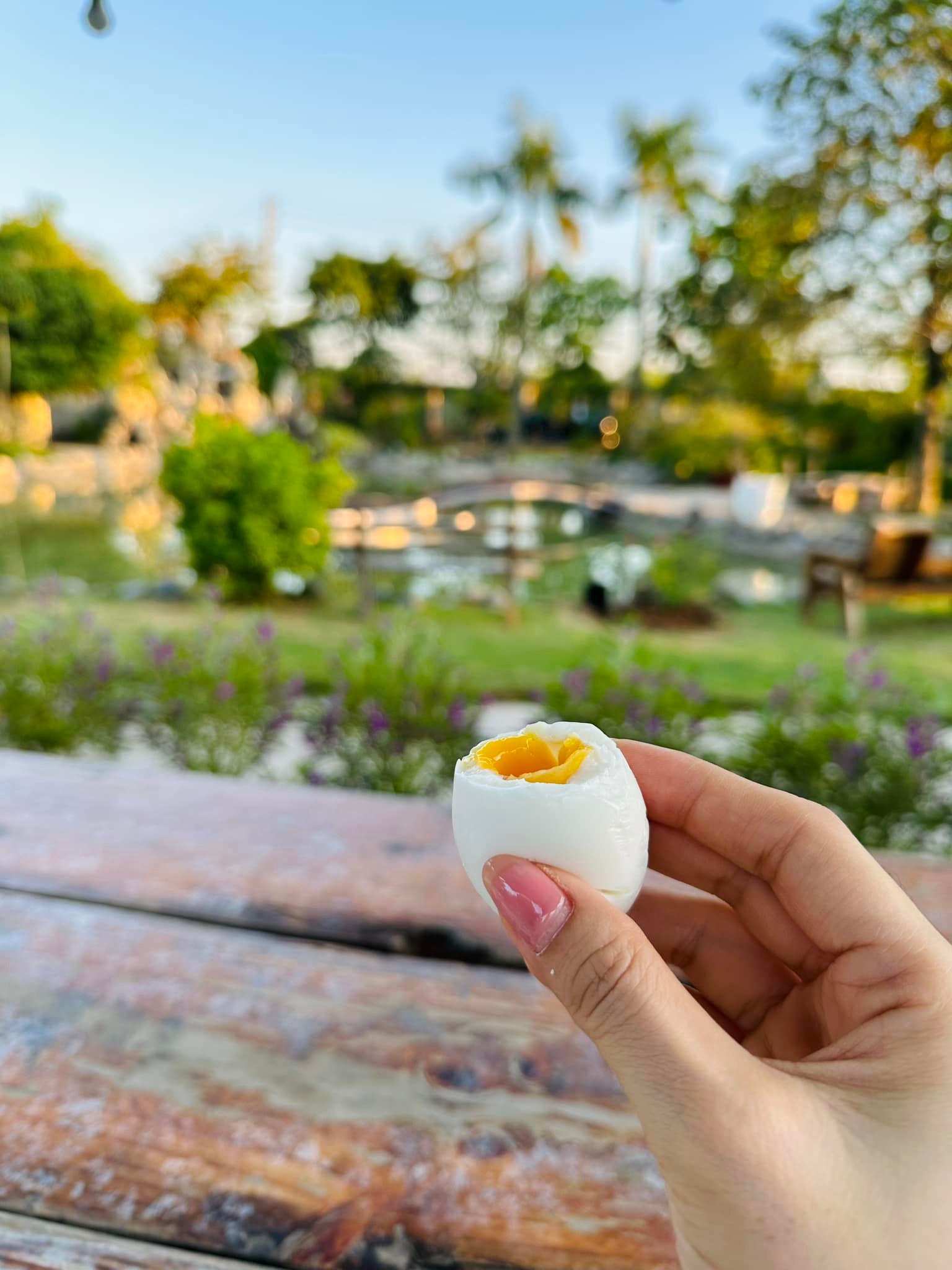 Chuyện ăn uống của Mỹ Tâm gây bất ngờ lớn- Ảnh 21. Chuyện ăn uống của Mỹ Tâm gây bất ngờ lớn- Ảnh 21.