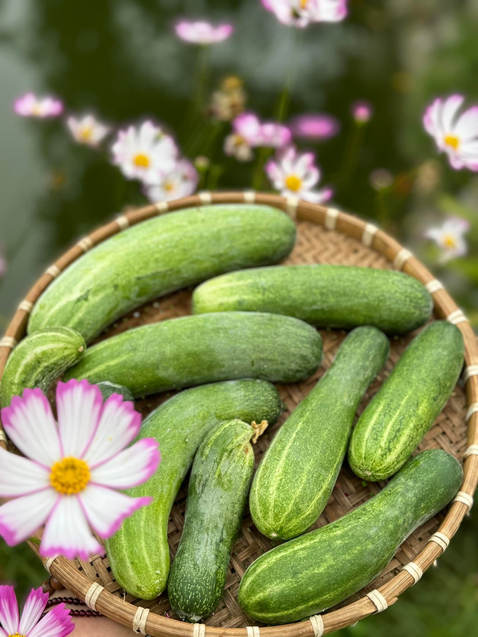 Chuyện ăn uống của Mỹ Tâm gây bất ngờ lớn- Ảnh 15. Chuyện ăn uống của Mỹ Tâm gây bất ngờ lớn- Ảnh 15.