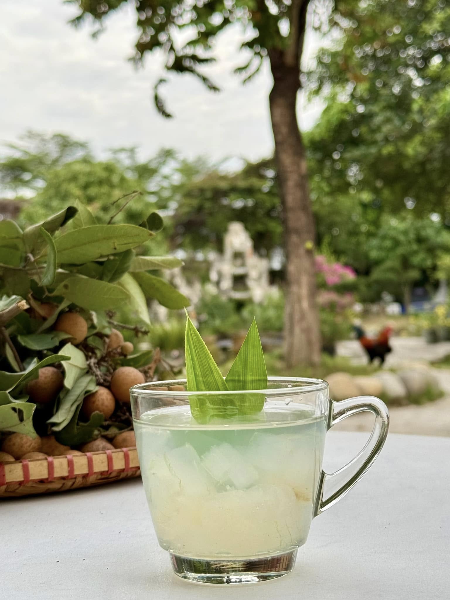 Chuyện ăn uống của Mỹ Tâm gây bất ngờ lớn- Ảnh 12. Chuyện ăn uống của Mỹ Tâm gây bất ngờ lớn- Ảnh 12.