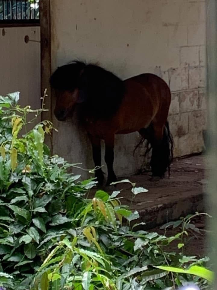 Không ngờ tới những 