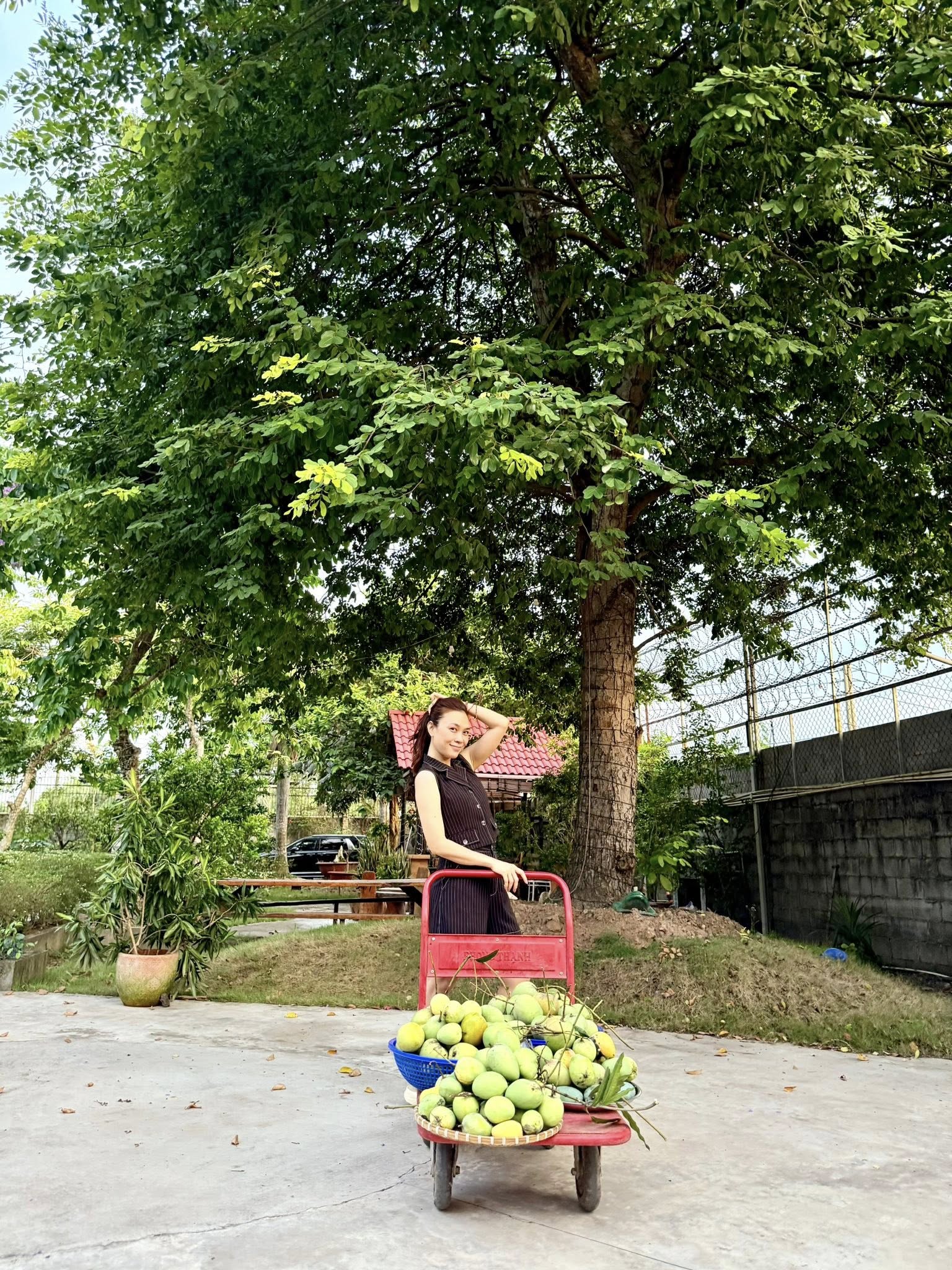 Chuyện ăn uống của Mỹ Tâm gây bất ngờ lớn- Ảnh 3. Chuyện ăn uống của Mỹ Tâm gây bất ngờ lớn- Ảnh 3.