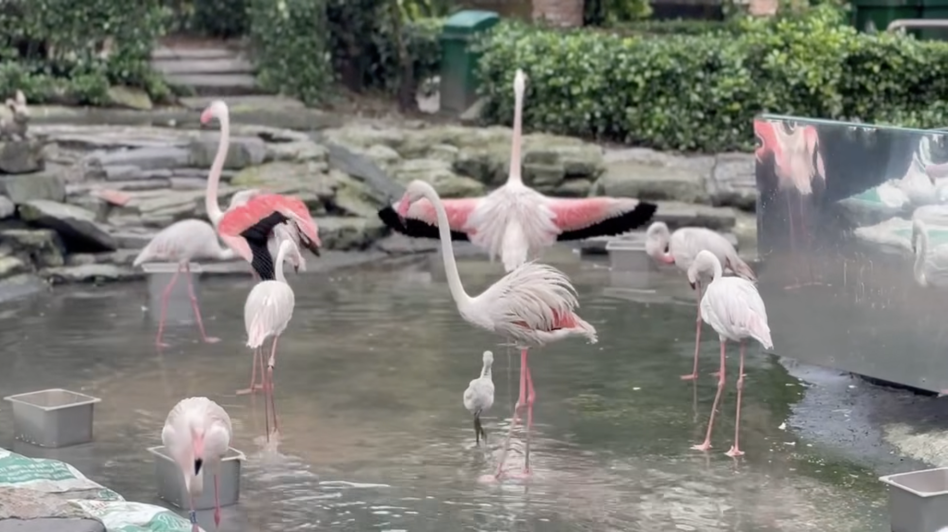 Không ngờ tới những 