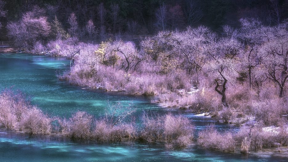 Khách Việt kể chuyện du lịch điểm nổi tiếng ở Trung Quốc, nhận xét: 