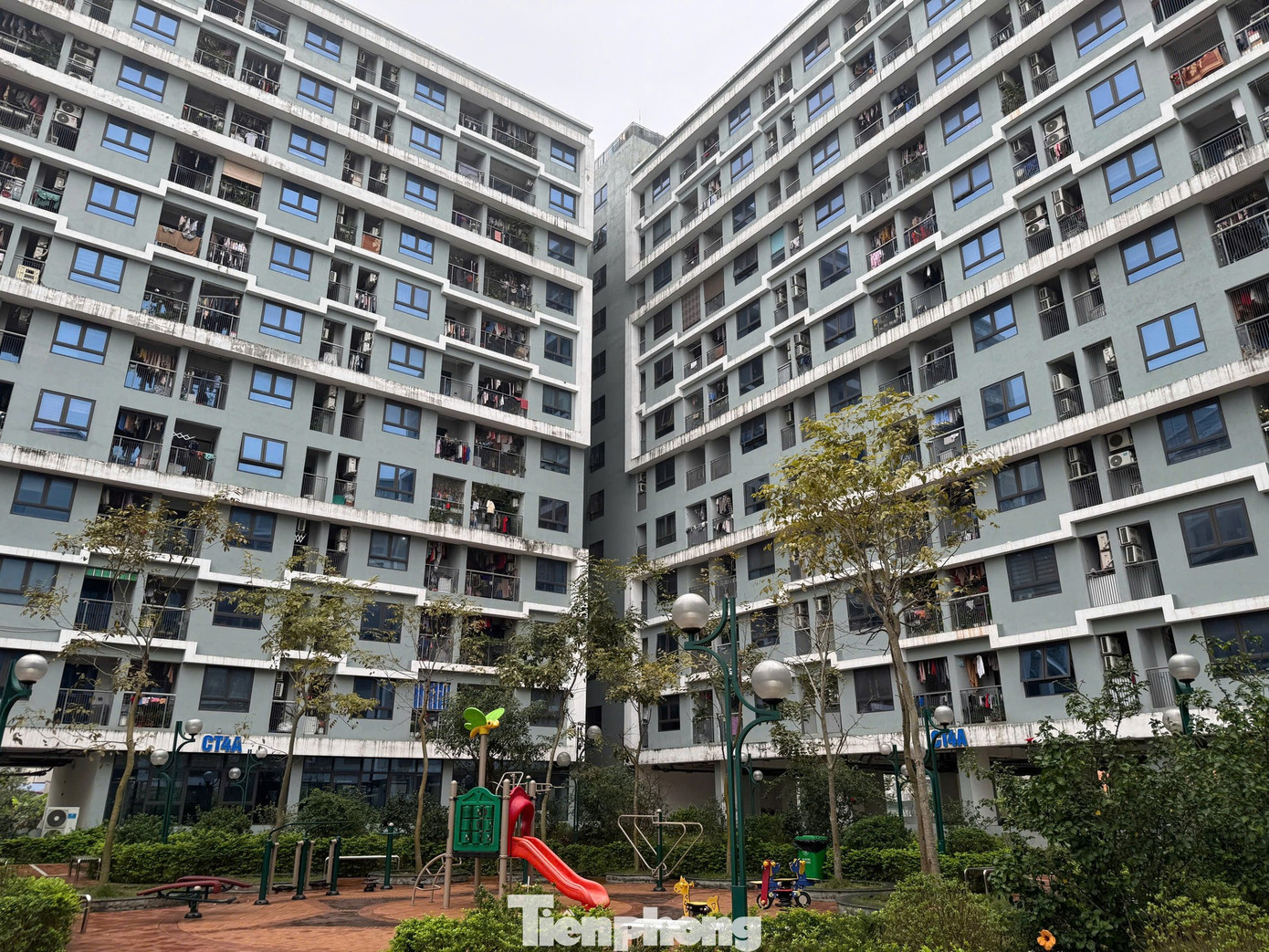 Xử phạt trục lợi nhà xã hội: Bao nhiêu mới đủ sức răn đe?- Ảnh 1.