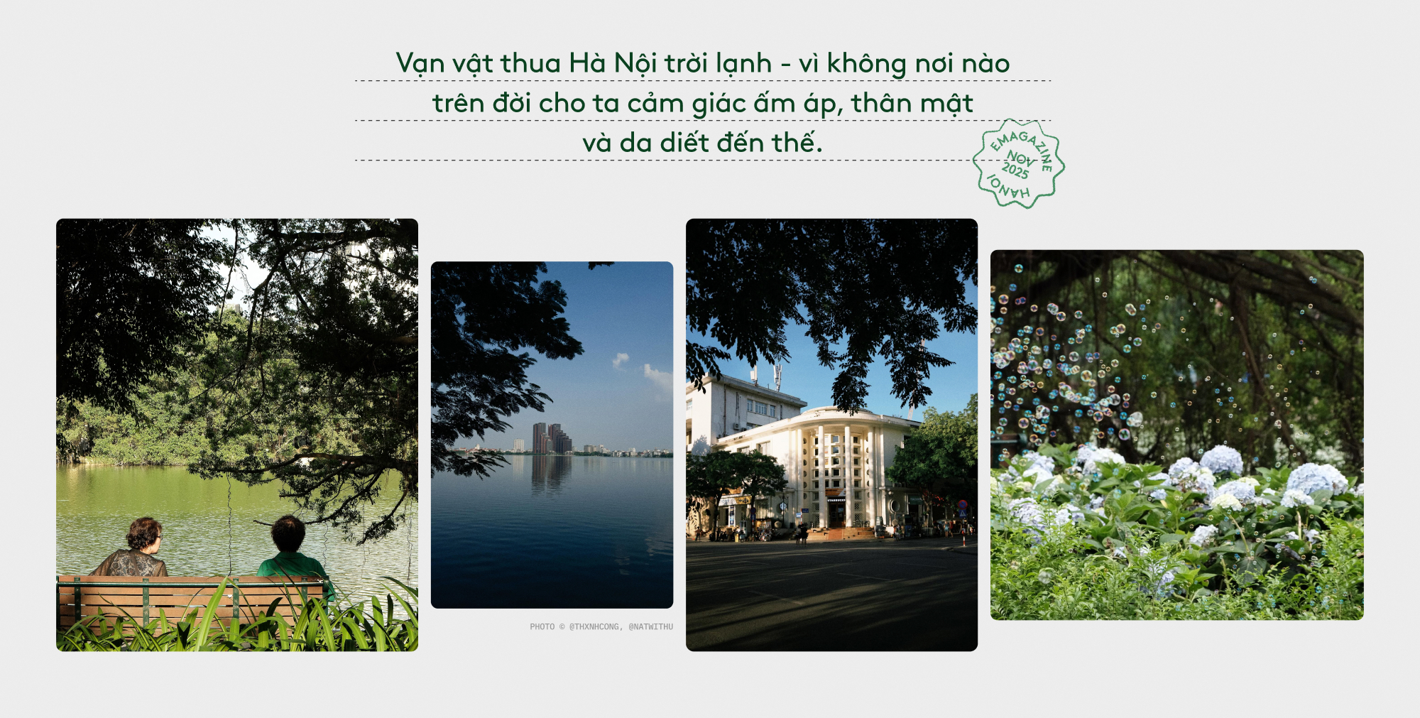 Vạn vật thua Hà Nội ngày trở lạnh- Ảnh 9.