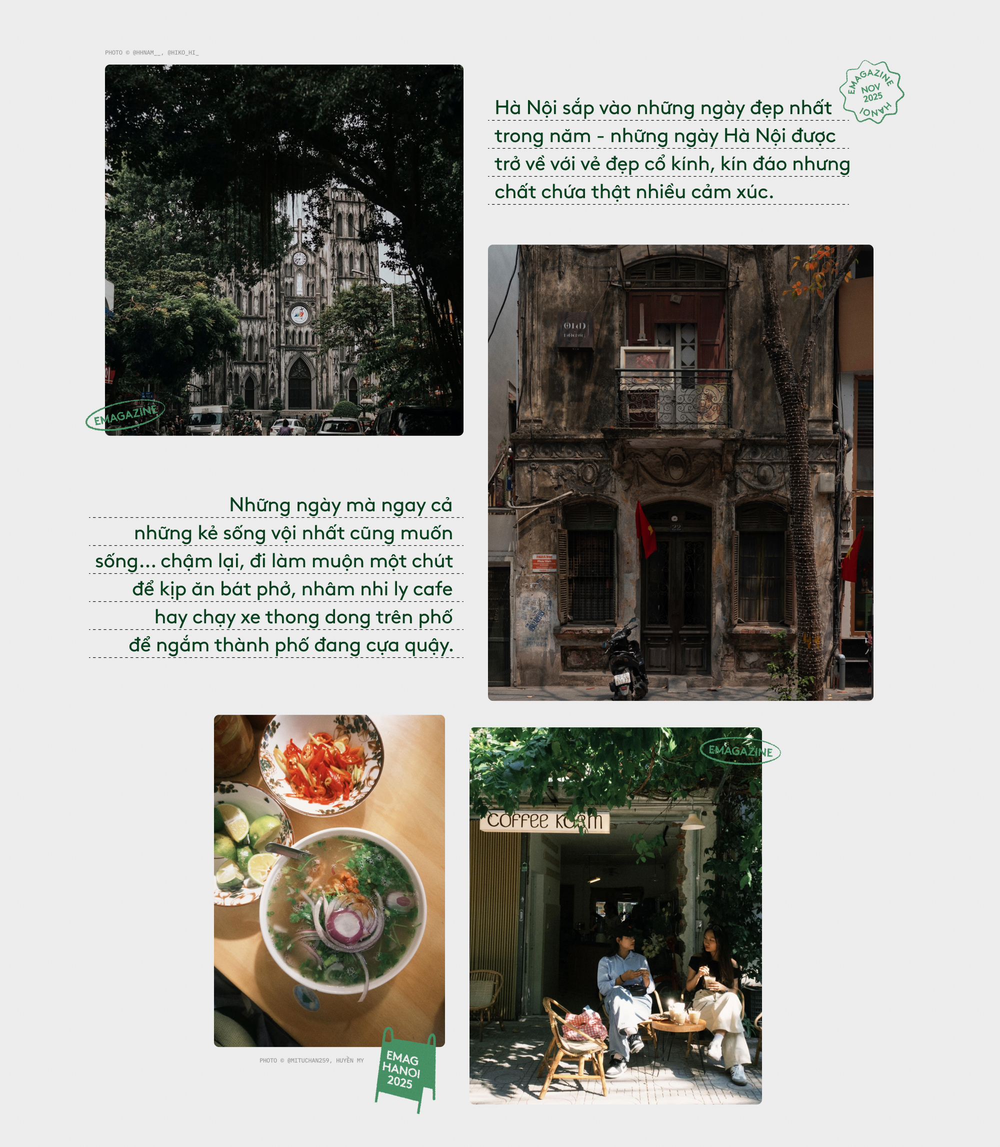 Vạn vật thua Hà Nội ngày trở lạnh- Ảnh 3.