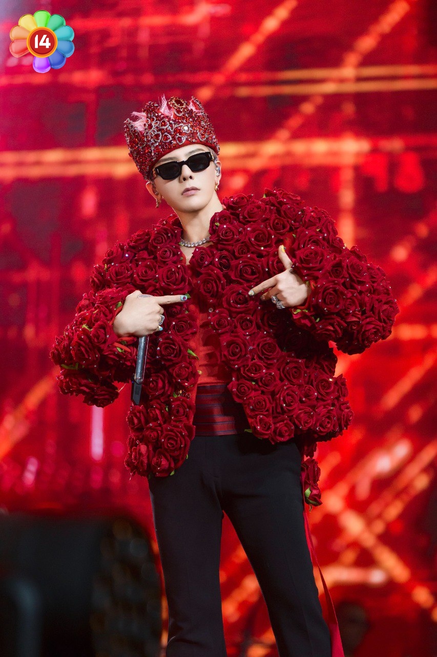 Khi sao Việt đu concert 